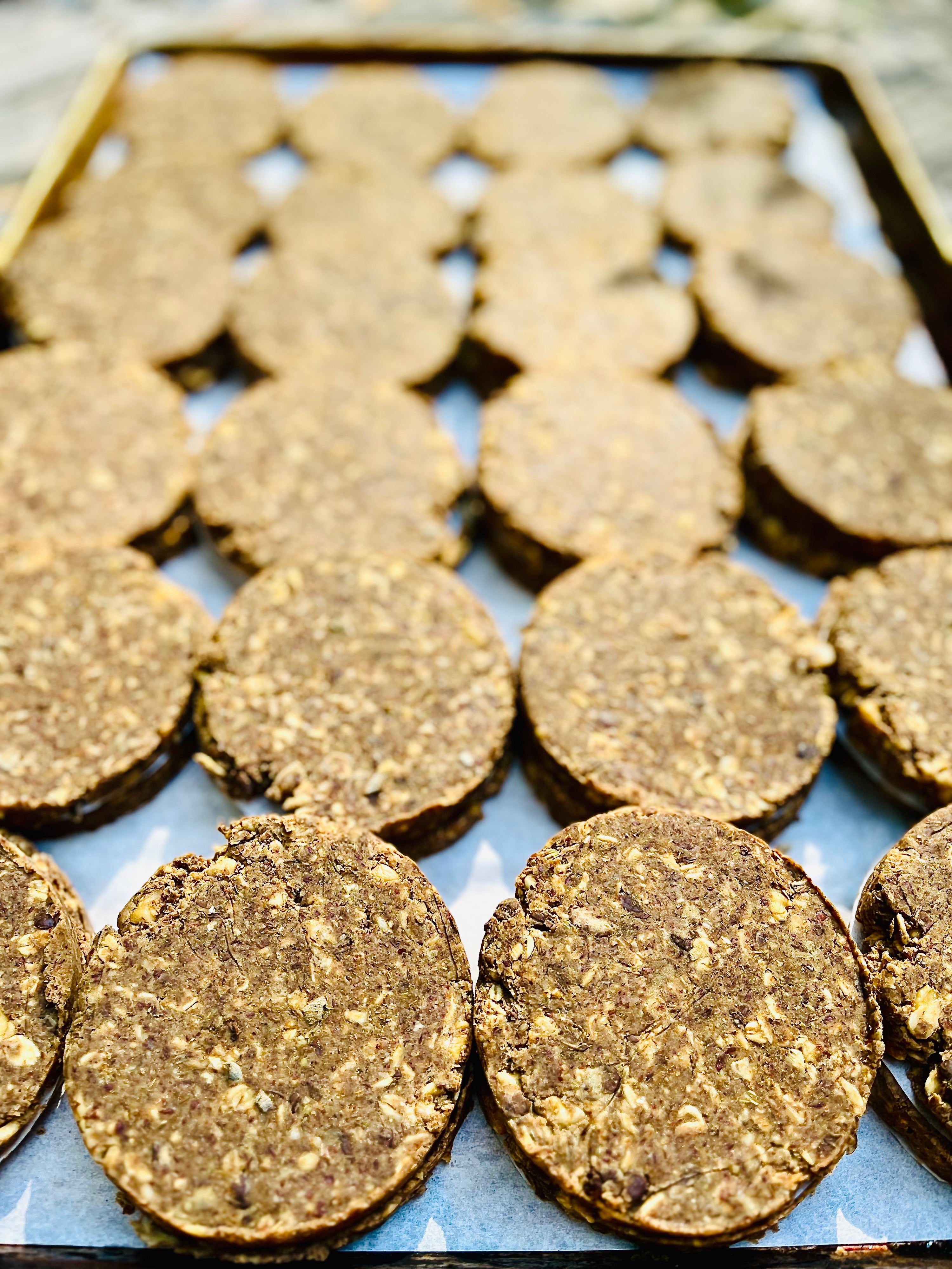 Braised French Lentil & Walnut